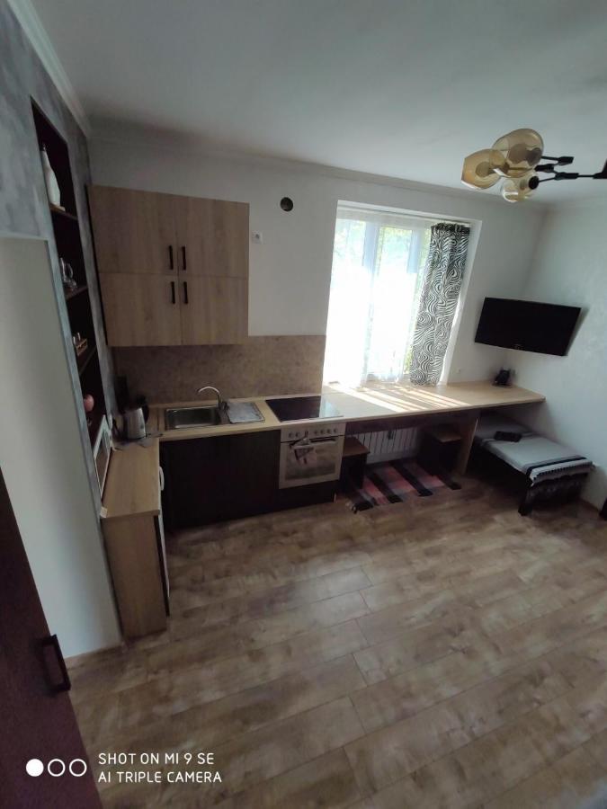 Однокімнатна квартира-студія біля парку Шевченка Ивано-Франковск Экстерьер фото